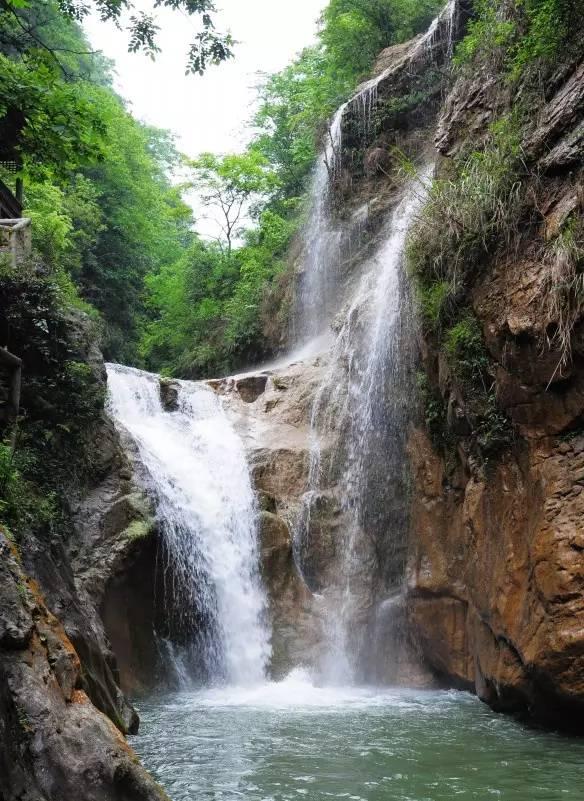 虫虫助手下载